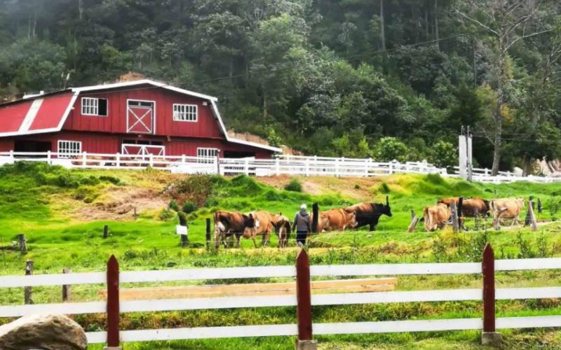 El Rincón Suizo Farm, Finca La Esperanza, Tecpán será el escenario para el primer Festival Gastronómico de Chimaltenango.