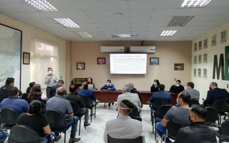 En el MEM se realizó una reunión con representantes de empresas envasadoras de GLP.