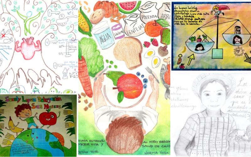 Secretaría de Seguridad Alimentaria y Nutricional 