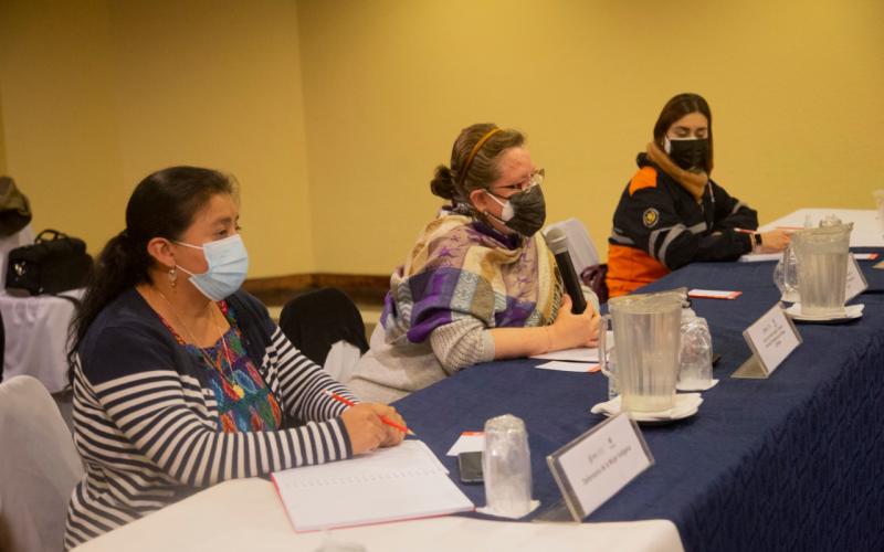 Secretaria Presidencial de la Mujer, Ana Leticia Aguilar Theissen. 