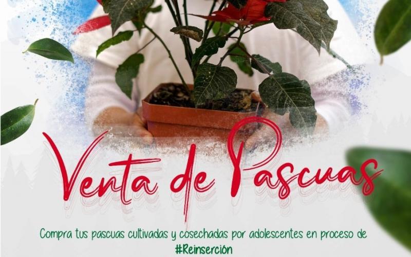 Comunícate antes que se terminen 