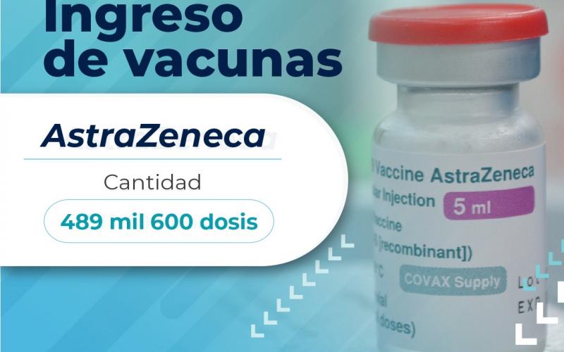 Ingreso Vacunas