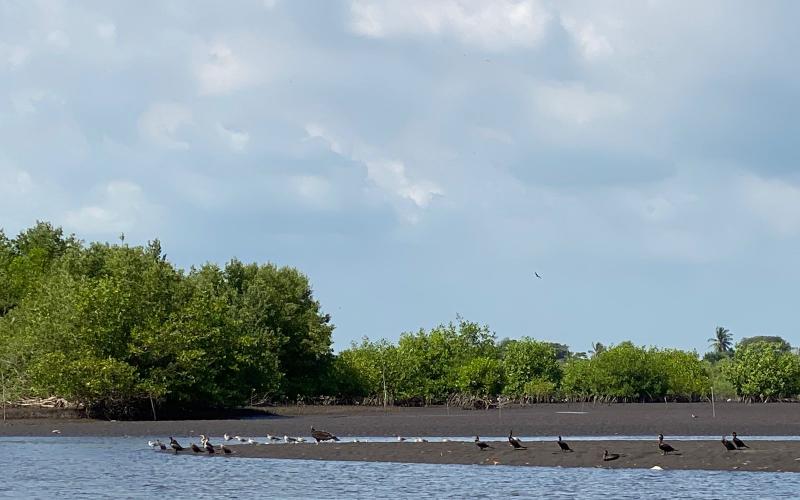 Parque Nacional Sipacate Naranjo.