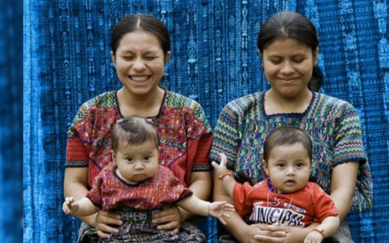 Secretaría de Seguridad Alimentaria y Nutricional 