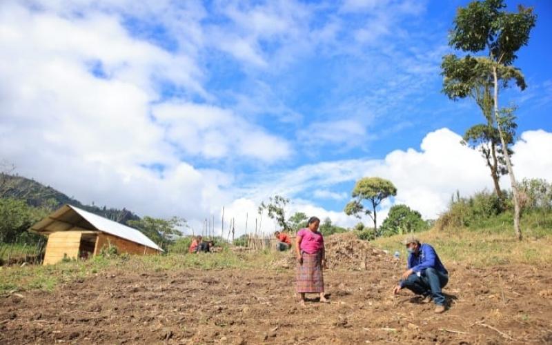 Estipendios por Acciones cumple objetivo de beneficiar a Productores afectados por ETA e IOTA