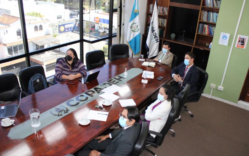 La COPADEH continúa las audiencias virtuales con OACNUDH