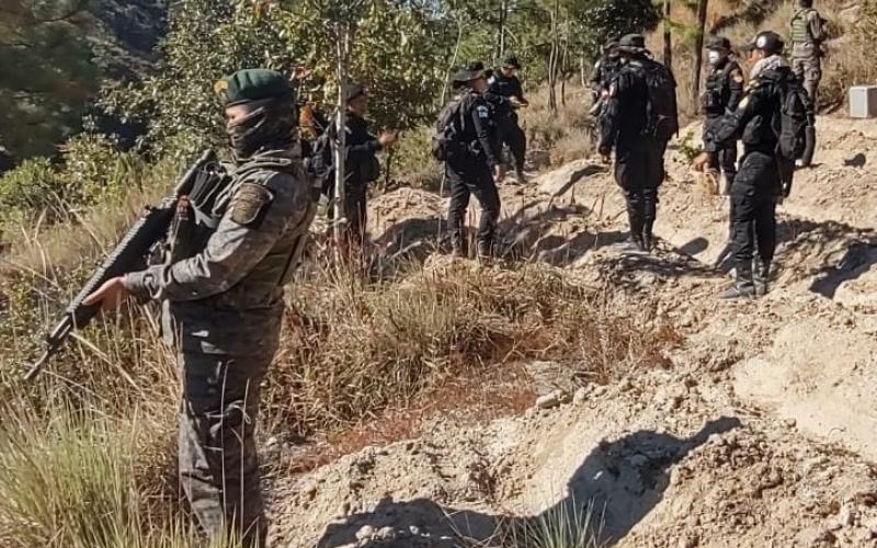 Erradicación de ilícitos en Izabal y Totonicapán