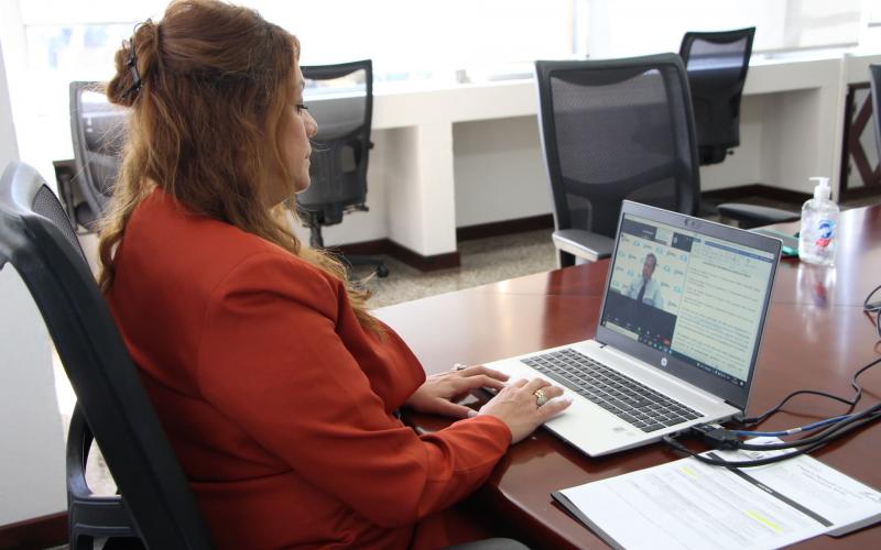 Directora de la Onsec MSc. Karla Alvarado