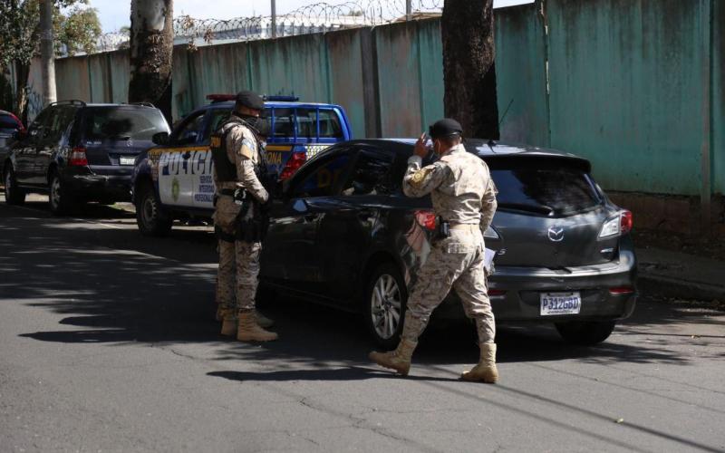 Operativos de DIPRONA buscan proteger y conservar el Pinabete