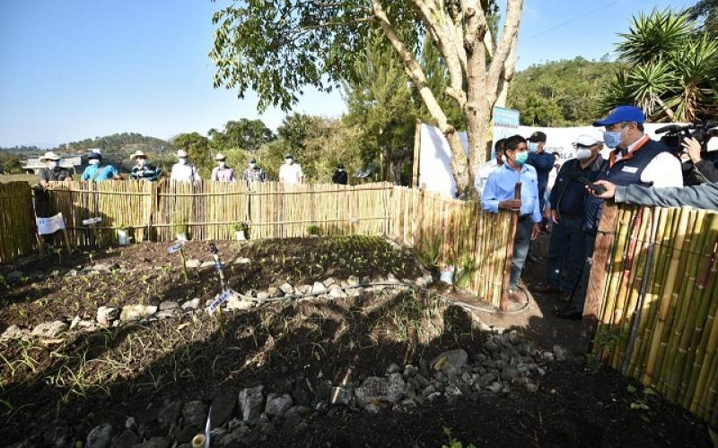 presidente Giammmattei