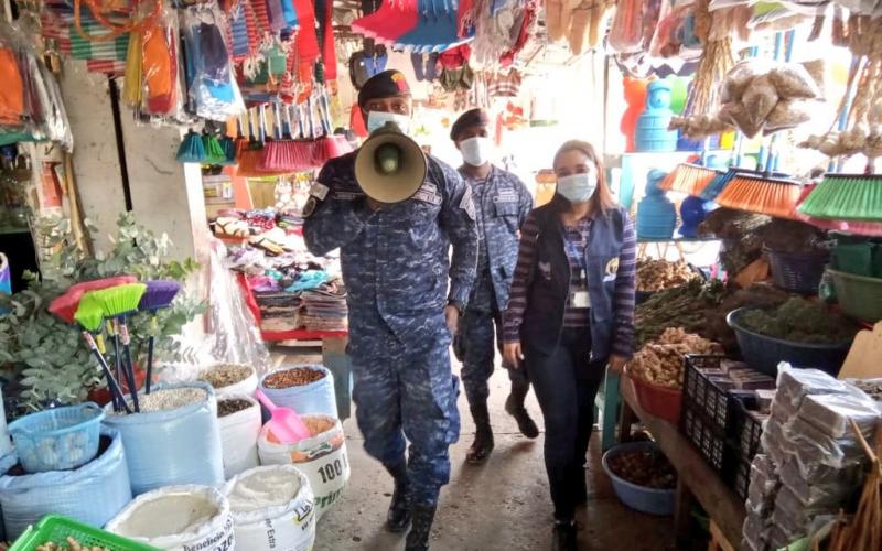 Acciones interinstitucionales para contener la propagación de la pandemia del Coronavirus, COVID-19