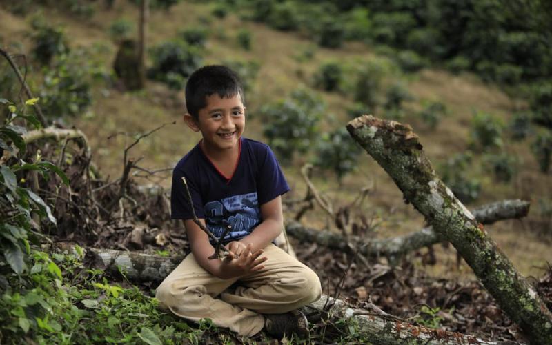 Secretaría de Seguridad Alimentaria y Nutricional 