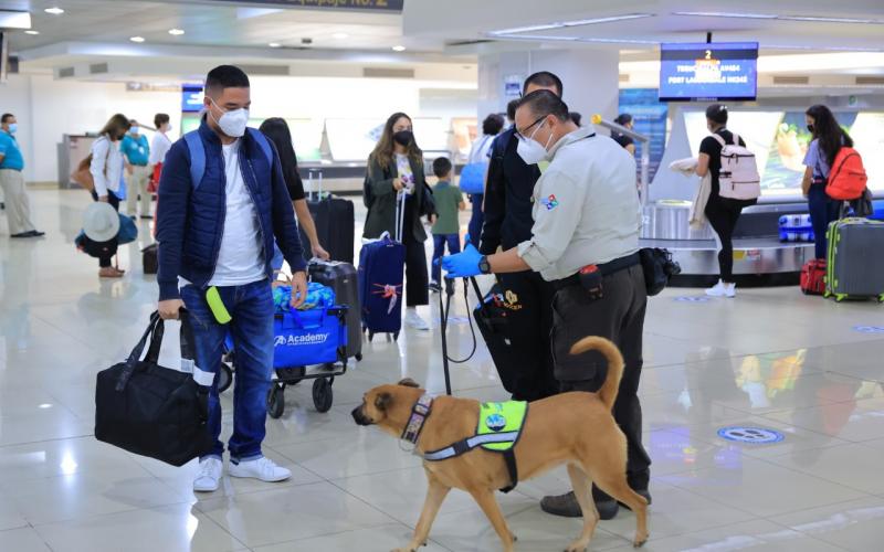 Refuerzan controles y vigilancia para garantizar la sanidad agropecuaria 