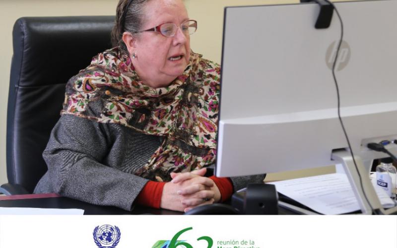 Secretaria Presidencial de la Mujer, Ana Leticia Aguilar Theissen. 