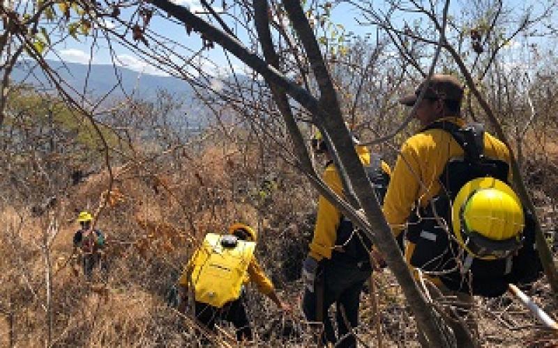 incendios forestales