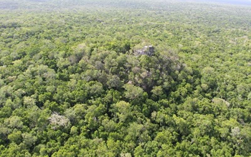 reserva de biosfera maya