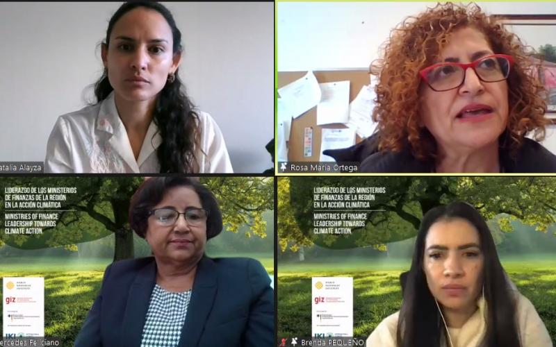 Rosa María Ortega, Directora de Crédito Público, del MINFIN.