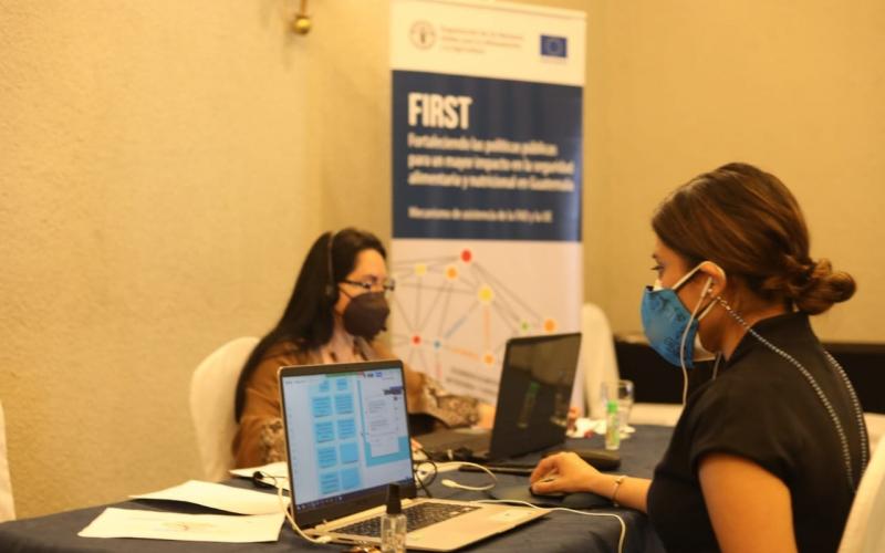 Secretaría de Seguridad Alimentaria y Nutricional 