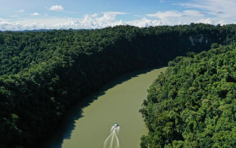 Resguardar los humedales es actuar a favor de la vida