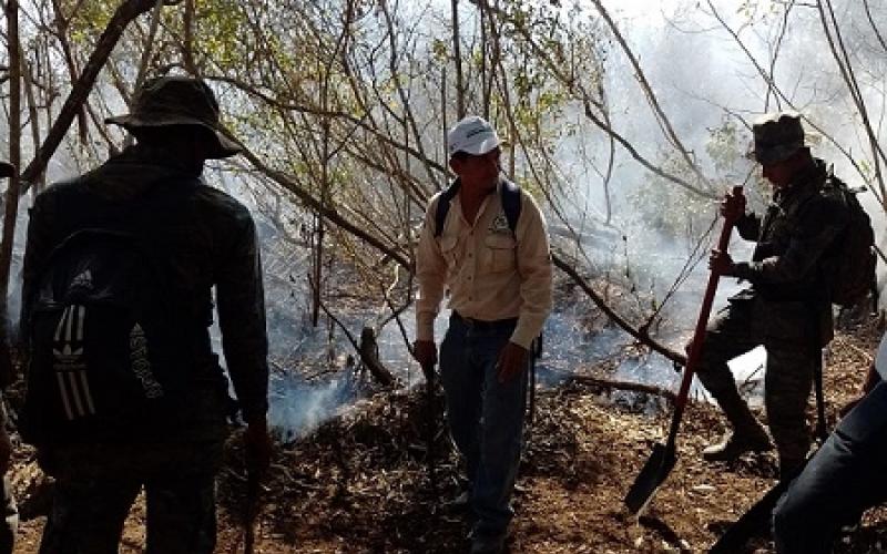 Cuarta Brigada de Infantería sofocó incendio forestal en Mazatenango, Suchitepéquez