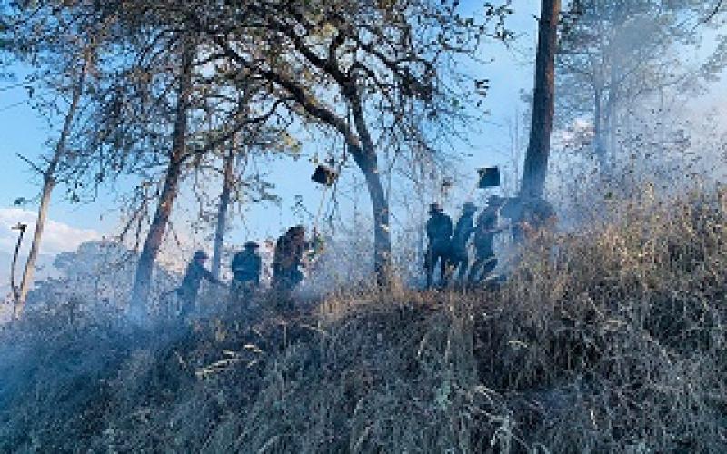 Primera Brigada de Infantería apoyó combate de incendio forestal en San Pedro Ayampuc, Guatemala