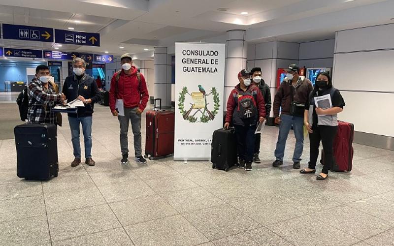 Consulado de Guatemala en Montreal, Canadá, recibe en aeropuerto a 189 trabajadores temporales connacionales
