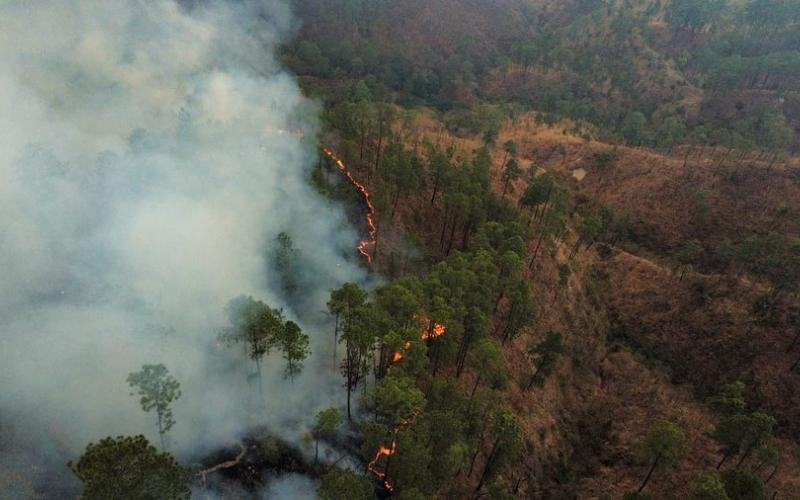 Incendio forestal registrado en el municipio de Chiché, Quiché. Foto de archivo. 
