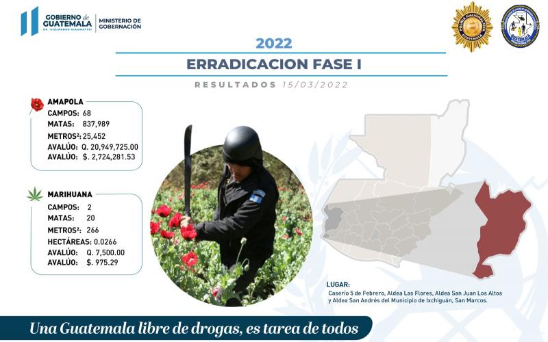 Erradican más de 800 mil matas de amapola y decomisan marihuana