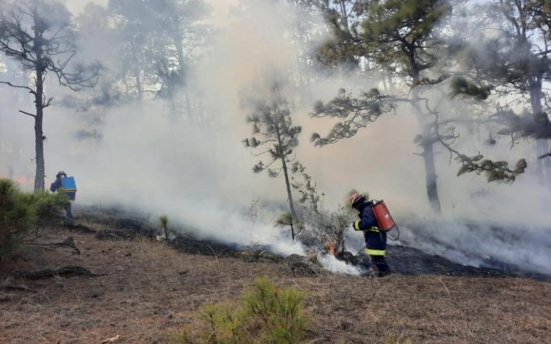 Sistema CONRED controla y liquida incendio en el departamento de Quiché.