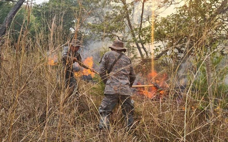 Ejército de Guatemala apoyó sofocamiento de incendios forestales en Chimaltenango y Baja Verapaz