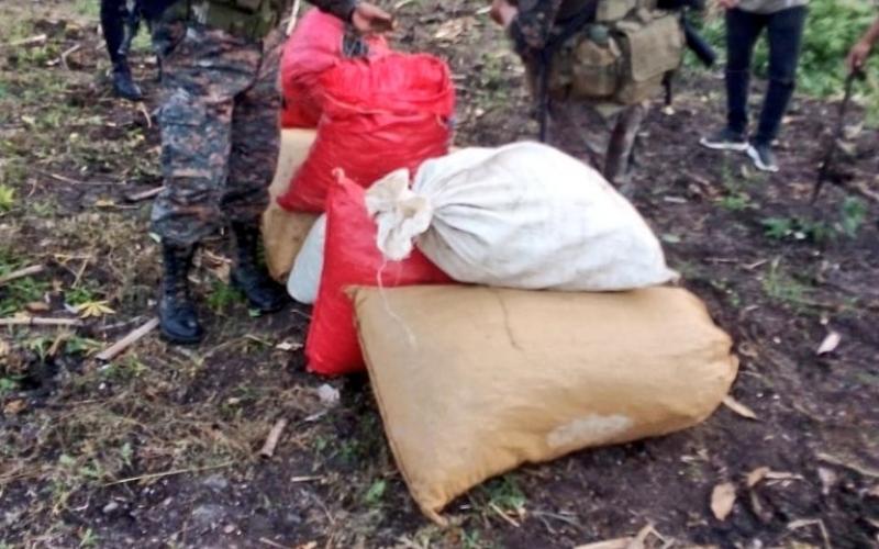 Ejército de Guatemala localiza y apoya erradicación de ilícitos en Melchor de Mencos, Petén