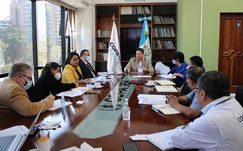 COPADEH reunión interinstitucional