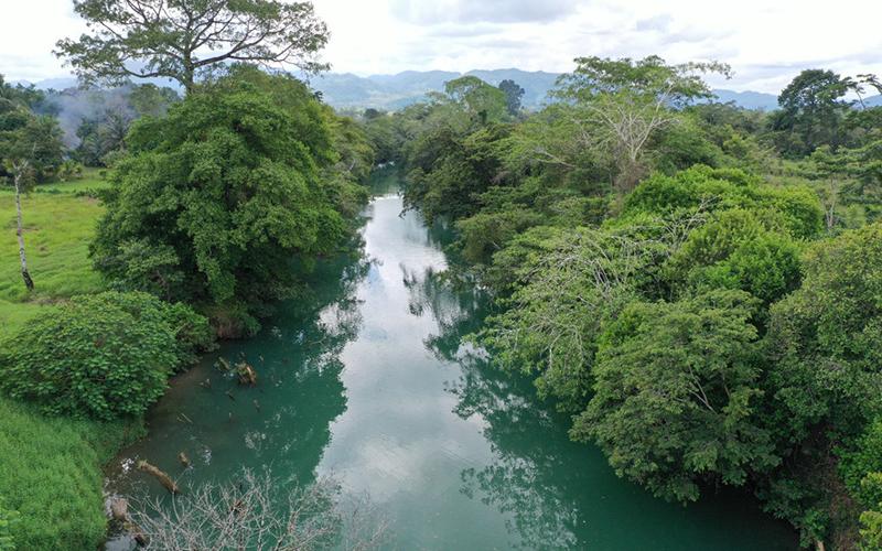 Los ríos son manantiales de vida natural 
