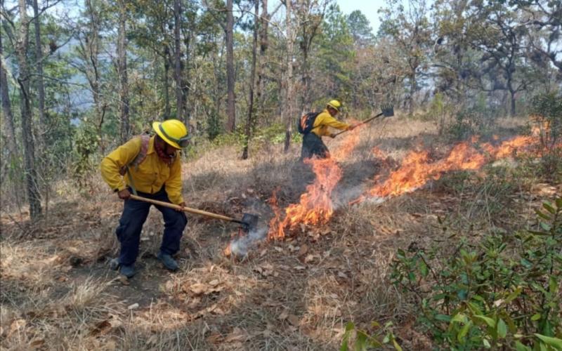 Imagen con fines ilustrativos. 