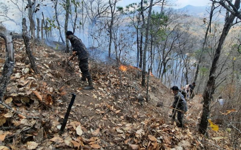 Ejército de Guatemala apoya combate de incendios forestales en el interior del país.