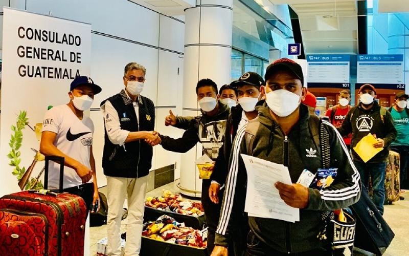 Más de 900 guatemaltecos han arribado a Canadá en días recientes para trabajar de manera temporal