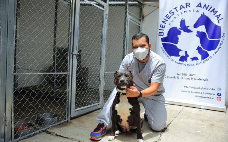 El MAGA llama a garantizar el bienestar animal ante el descanso de Semana Mayor
