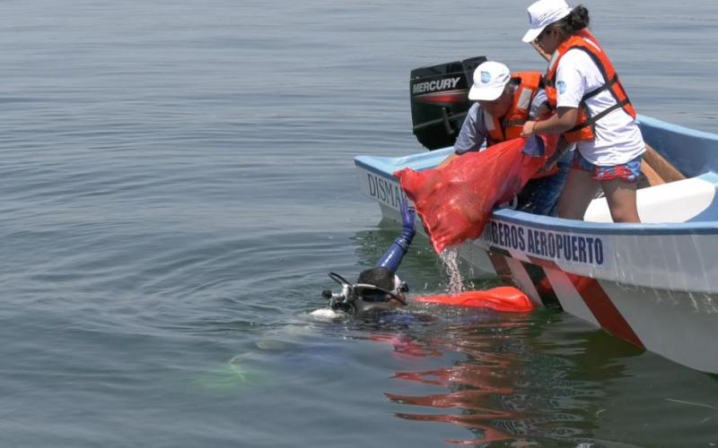 Playas Limpias arranca con resultados positivos