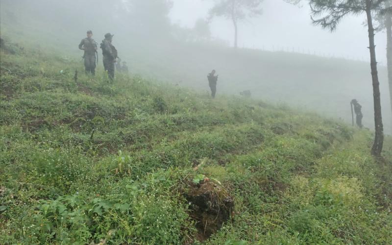 Ejército de Guatemala apoya erradicación de amapola en San Miguel Chicaj, Baja Verapaz