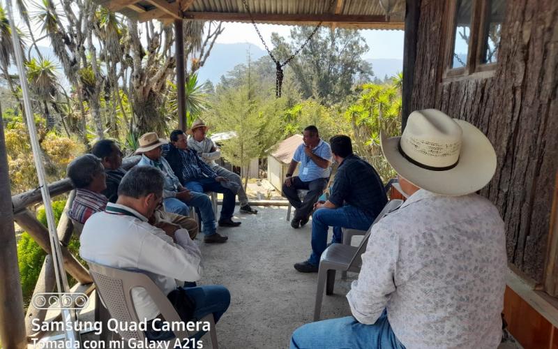 Impulsan formación forestal para la protección de los bosques