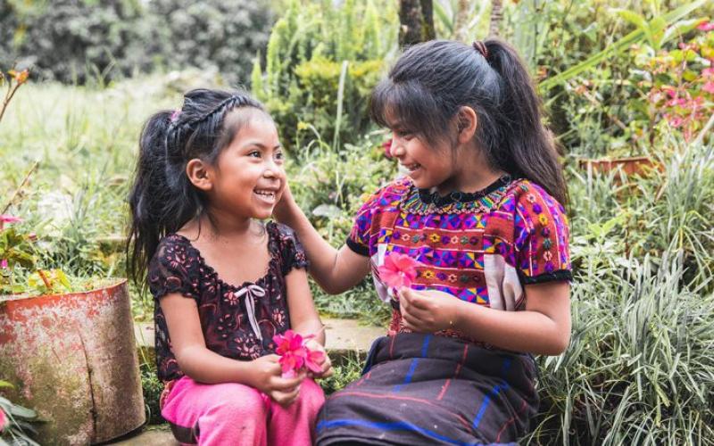 Secretaría de Seguridad Alimentaria y Nutricional 