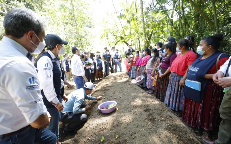 Secretaría de Seguridad Alimentaria y Nutricional 