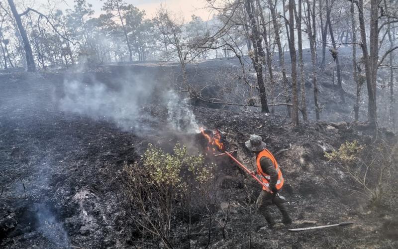 Soldado desarrollando tareas de sofocamiento de incendio forestal.