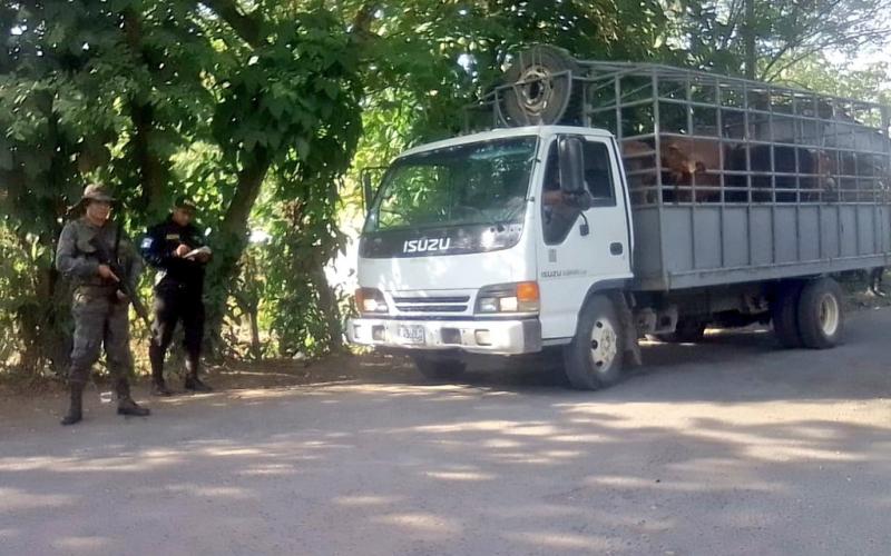 Ejército de Guatemala desarrolló operaciones de seguridad en Izabal.