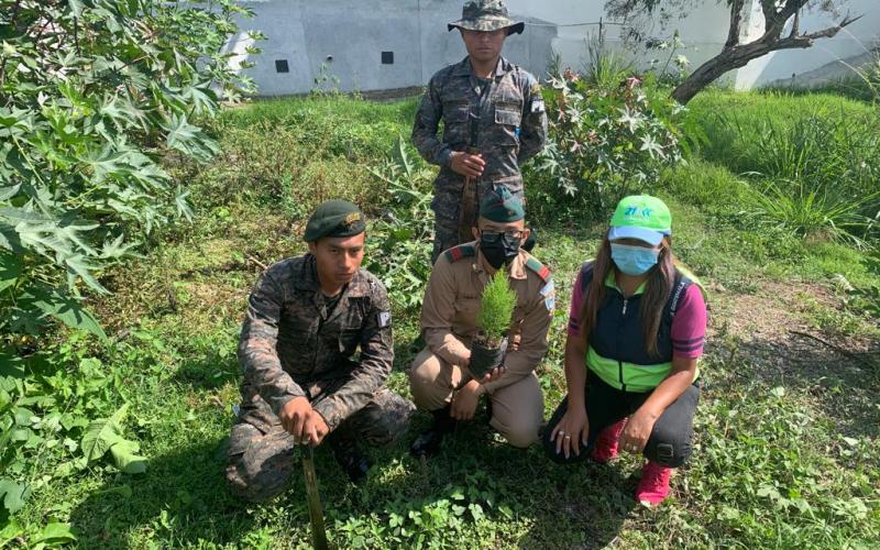 Ejército de Guatemala realiza reforestación en la colonia Justo Rufino Barrios, zona 21.