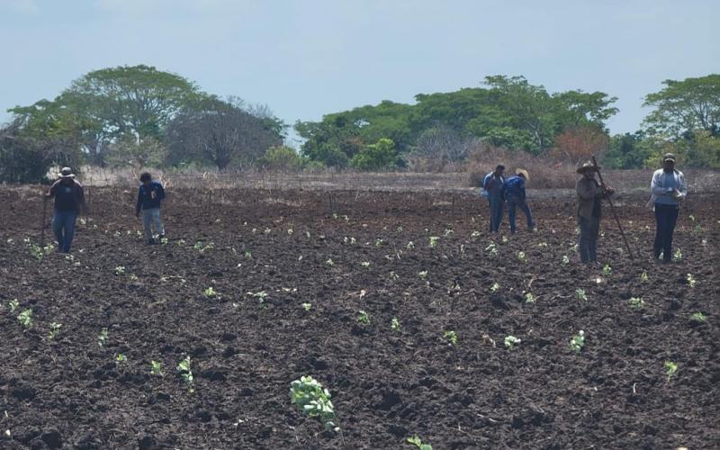 Acciones de Desarrollo en Ratalhuleu