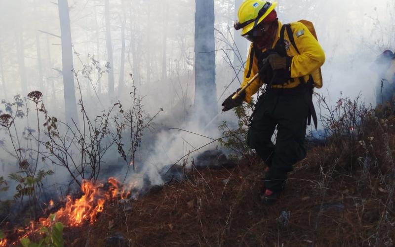 BRIF/GUA de la CONRED atienden un incendio forestal registrado en el departamento de Jalapa.