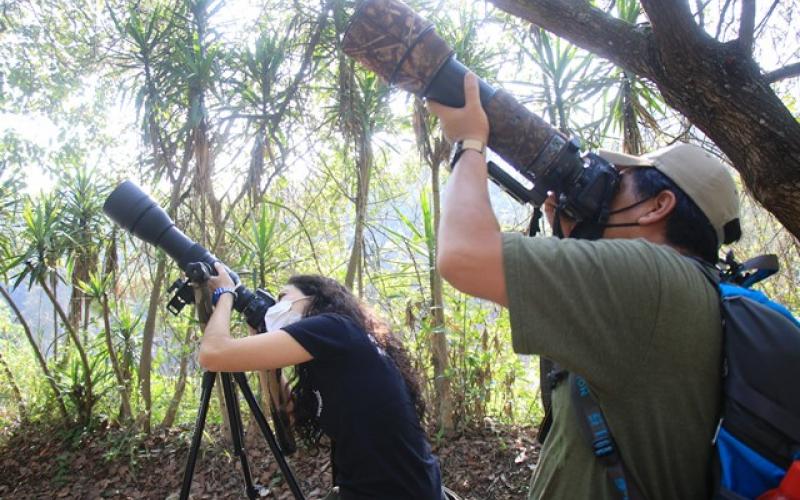 Avistamiento de aves