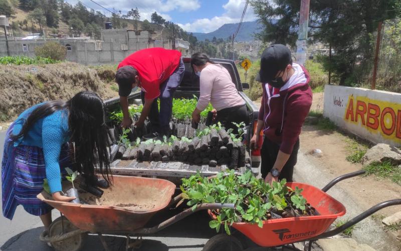 Totonicapán prepara jornadas de reforestación 