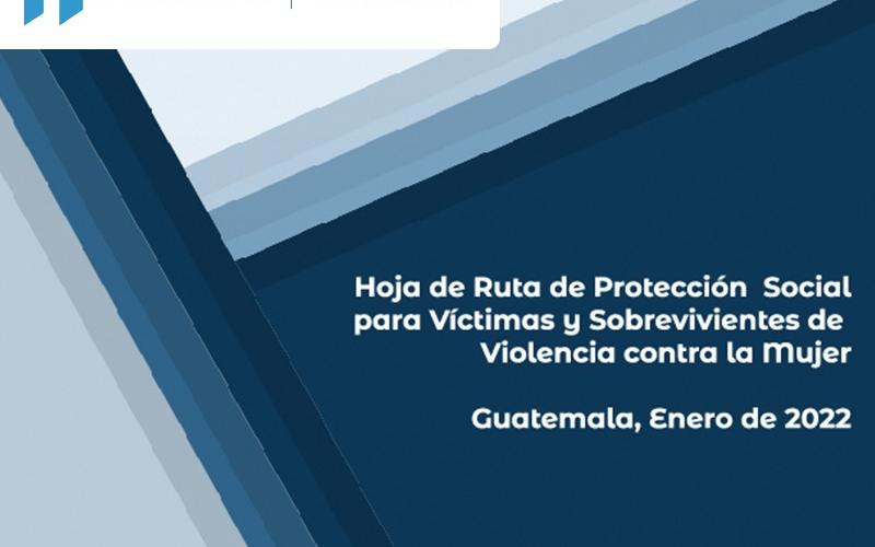 Hoja de Ruta de Protección Social para Víctimas y Sobrevivientes de Violencia contra la Mujer